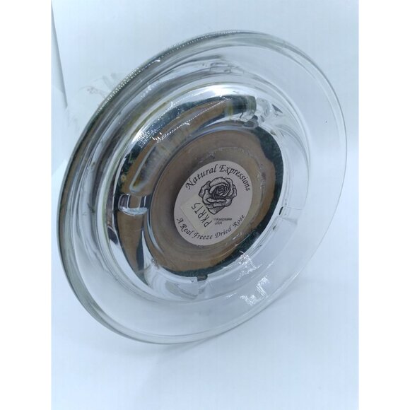 Natural Freeze Dried Rose Floral Arrangement In Glass Cloche 9" - Picture 11 of 12